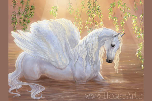 Difference between Unicorn Alicorn Pegasus 