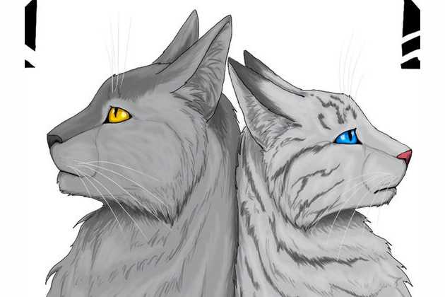 What Warrior Cats Ship Are You