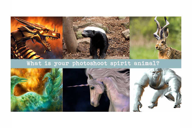 Photoshoot Spirit Animal