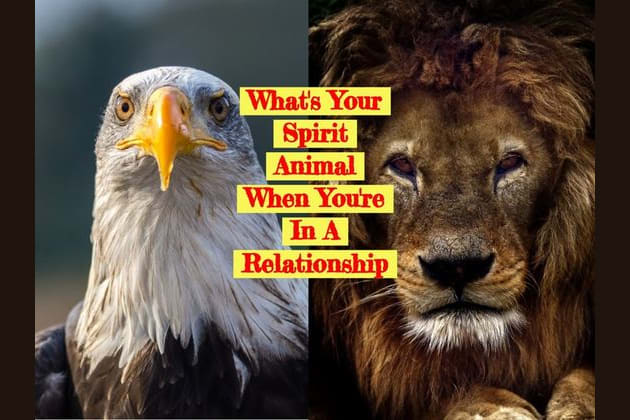 What's Your Spirit Animal When You're In A Relationship?