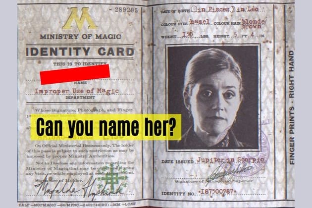 No One Can Name All Of These 23 Harry Potter Characters