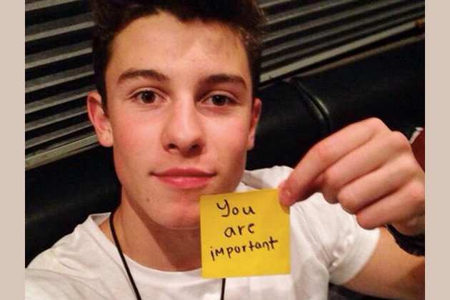 Would Shawn Mendes Date You Would shawn mendes date you? would shawn mendes date you