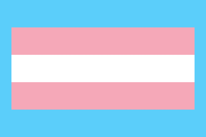 LGBT+ Flag Quiz  Pop'n'Olly 