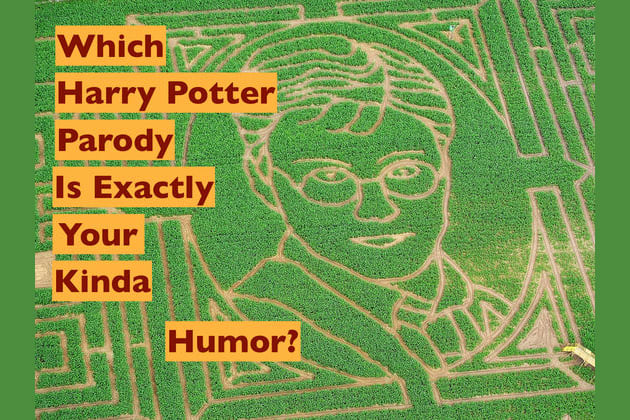 Which Harry Potter Parody Is Exactly Your Kinda Humor