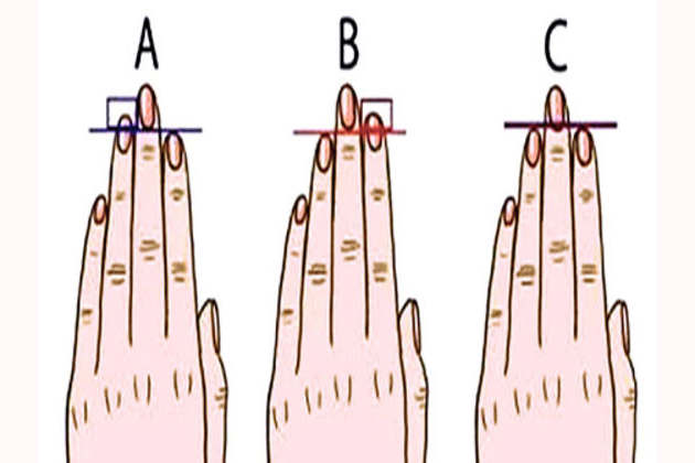 Here S What Your Finger Length Reveals About Your Personality your finger length reveals about