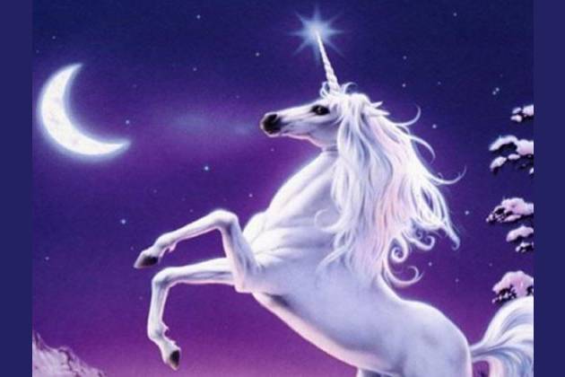 Which Unicorn Are You Everyone has a little bit of unicorn inside of them, right? which unicorn are you