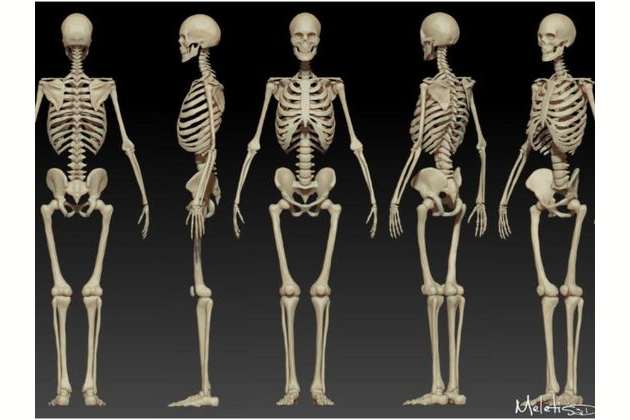 Literally Zero People Can Get 10 10 On This Anatomy Test Prove Us Wrong