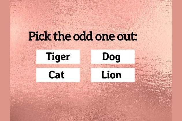 No One Can Score 10 15 In This Iq Test And It S Driving The Internet Wild