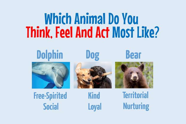 Which Animal Do You Think, Feel And Act Most Like?