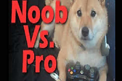 Are You A Noob Or A Pro Gamer Mlg - roblox quiz noob or pro