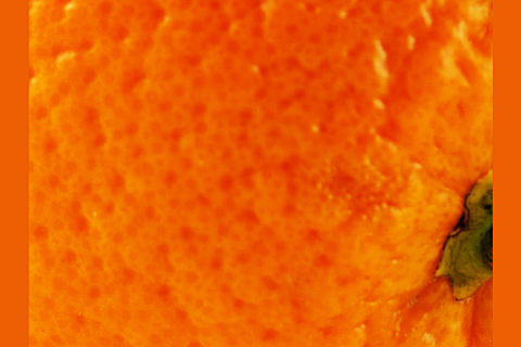Can You Guess The Food By An Extreme Zoom In