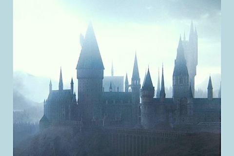 Which Hogwarts House Do You Belong In Based On Aesthetics