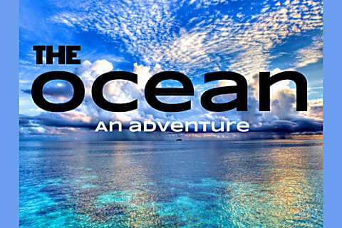 The Ocean An Adventure Sumarine Quiz - do you like roblox quiz