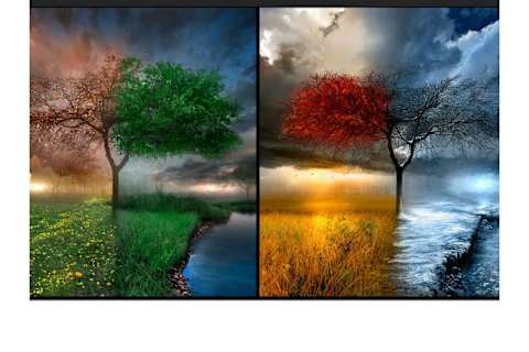 What Season Are You