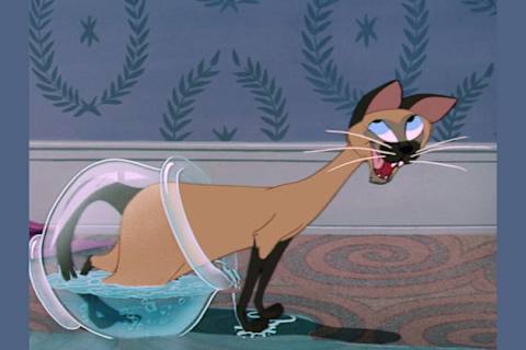 Which Disney Cat Are You