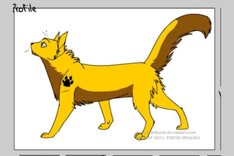 Which Warrior Cat Are You