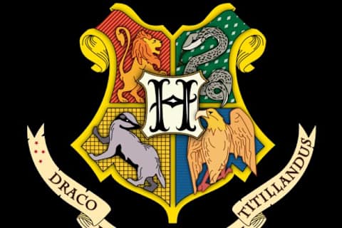 In Welches Hogwarts Haus Gehorst Du