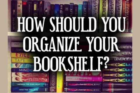 How Should You Organize Your Bookshelf
