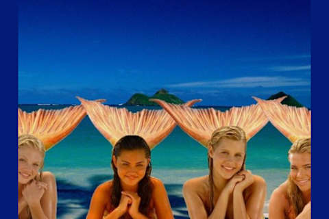 Get Wallpaper Which H20 Mermaid Are You For Android