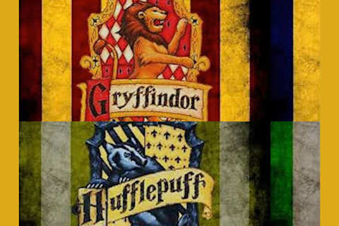 In Welches Hogwarts Haus Gehorst Du