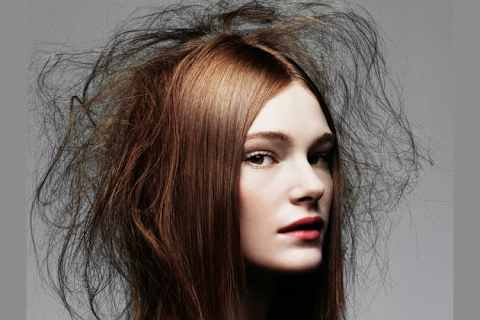 How Damaged Is Your Hair
