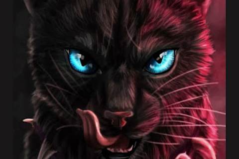 Warrior Cats What Does Scourge Think Of You