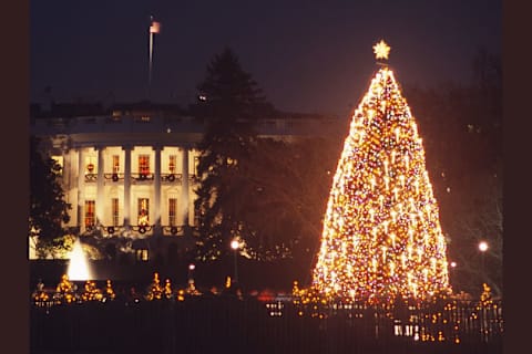 What Type Of Holiday Decorator Are You