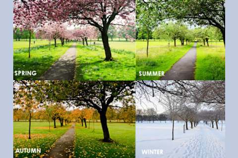 What Season Are You