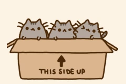 What Pusheen Are You