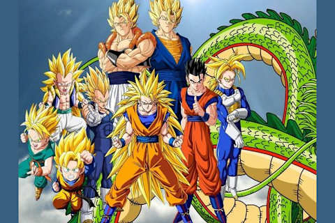 Which Dragon Ball Z Character Are You