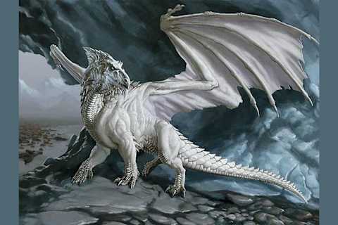 What Type Of Dragon Are You