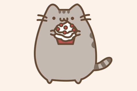pusheen bear