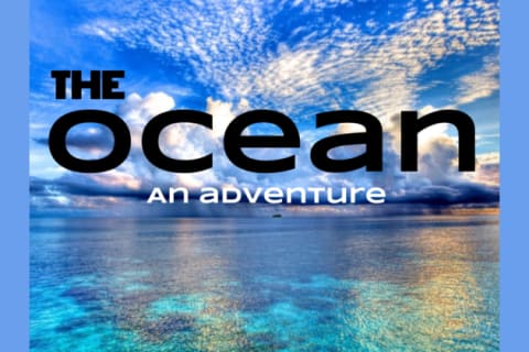 The Ocean An Adventure Sumarine Quiz