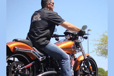 Which Harley Should You Be Riding