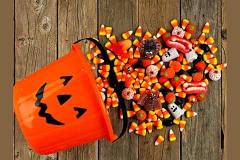 Which Halloween Candy Are You