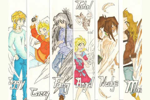 What Maximum Ride Character Are You