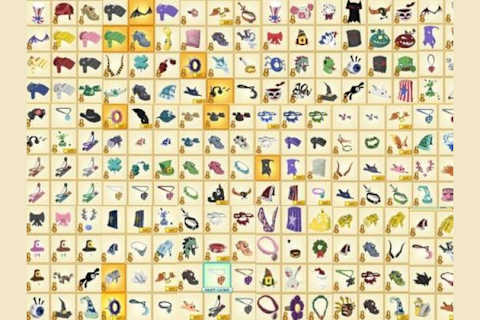 Which Animal Jam Clothing Item Are You