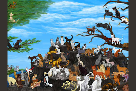 Are You A Clan Leader Warrior Medicine Cat Or An Apprentice