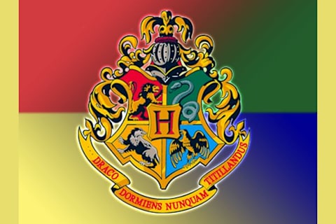 Harry Potter Quiz Which House Are You In Playbuzz - House ...