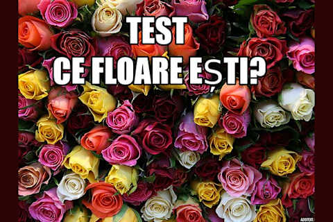 Test Ce Floare Ești