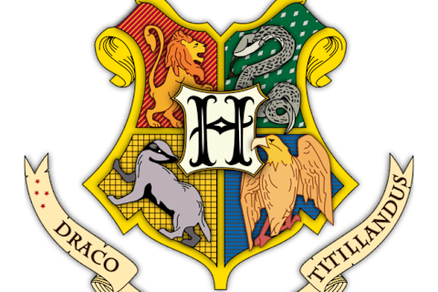 Which Harry Potter House Are You In