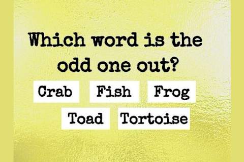 Nobody Can Score A Perfect 10 In This Iq Test