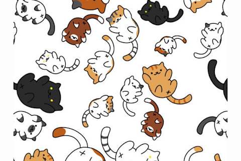 Which Neko Atsume Rare Cat Are You