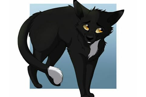 Warrior Cat Trivia Some Spoilers
