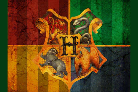 In Welches Hogwarts Haus Wurde Dich Der Sprechende Hut Wahlen