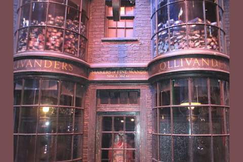 What Harry Potter Wand Wood Best Suits You