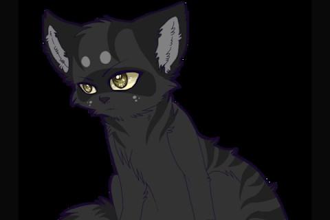 What Does Raven Think Of You My Warrior Cat Oc