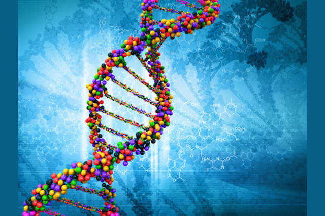How about you ask us about our day before you ask about our genetic makeup? 
