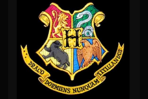 What hogwarts house are you in?