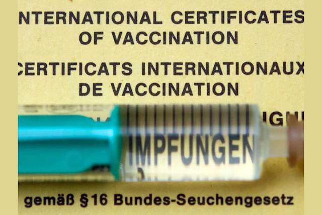 Masern Quiz Welche Impfungen Erwachsene Haben Sollten